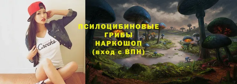 Галлюциногенные грибы Magic Shrooms  Киров 